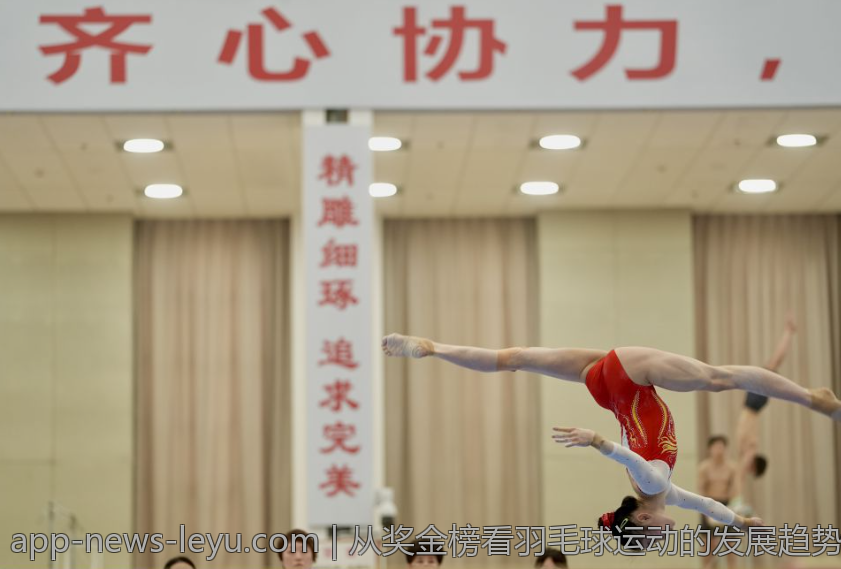 从奖金榜看羽毛球运动的发展趋势与明星表现