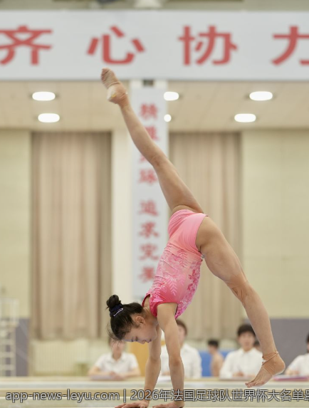 2026年法国足球队世界杯大名单最新动态