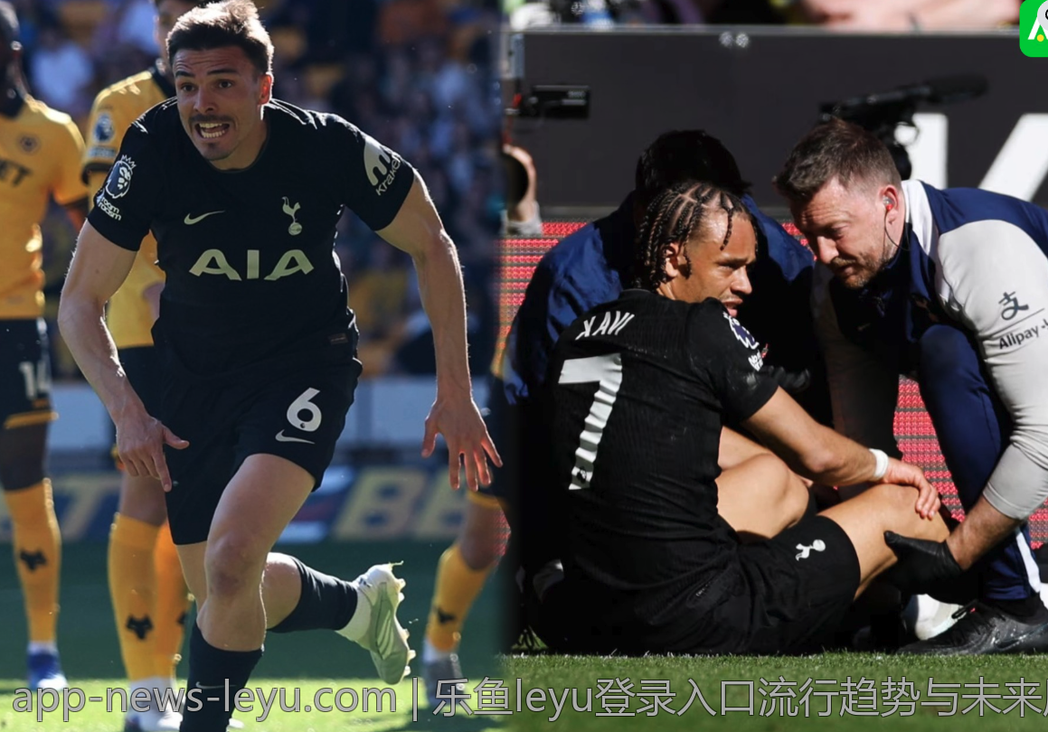 乐鱼leyu登录入口流行趋势与未来展望