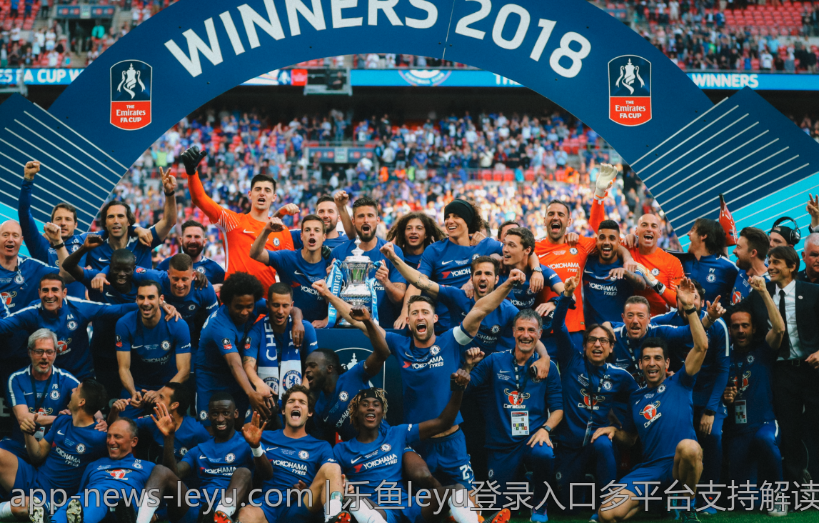 乐鱼leyu登录入口多平台支持解读