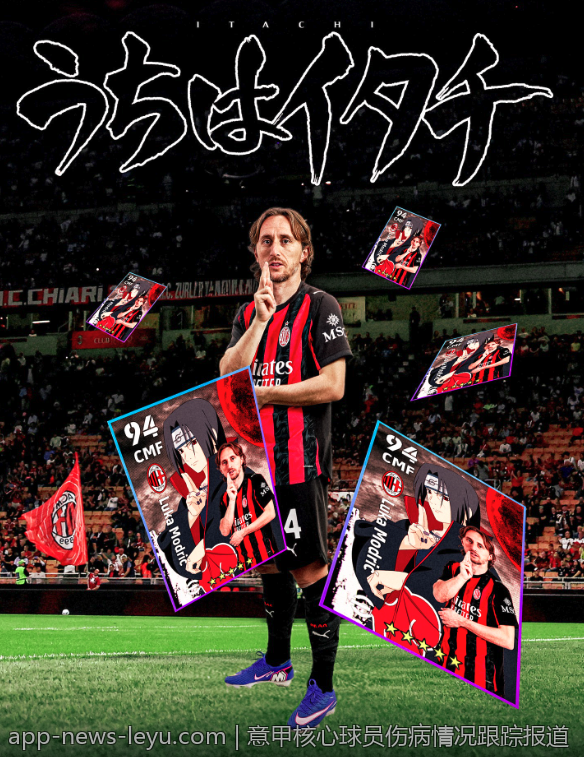 从筹备到落幕：国际足联世界杯全流程解读